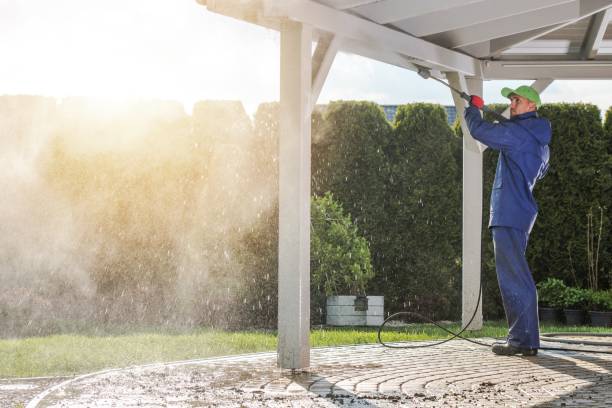 Best Roof Washing  in Cusseta, GA