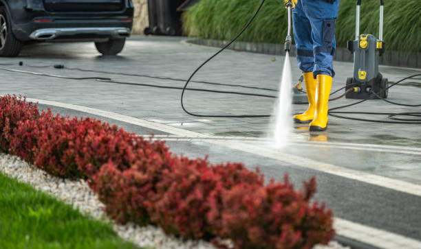 Best Soft Washing  in Cusseta, GA